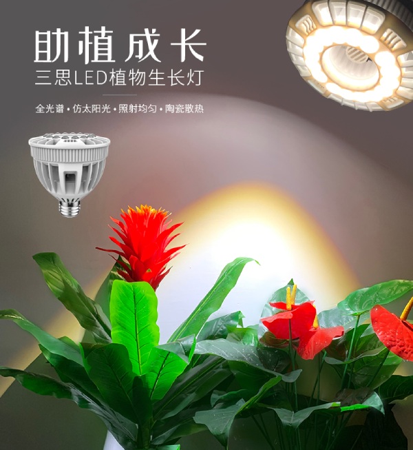 香蕉影视家（jiā）用LED植物生長燈
