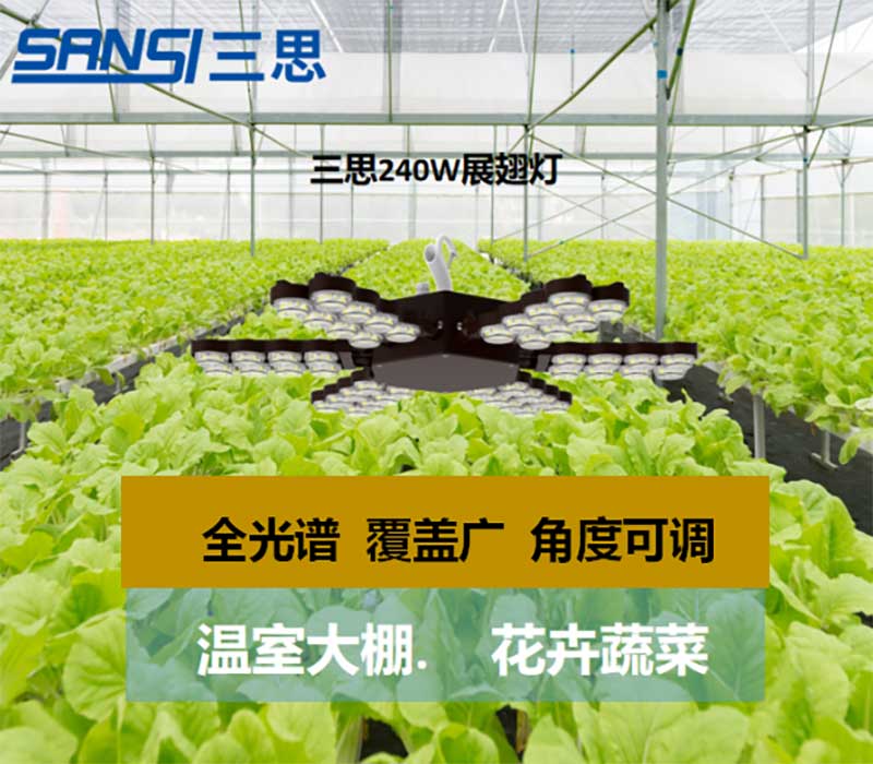 香蕉影视植物生長燈