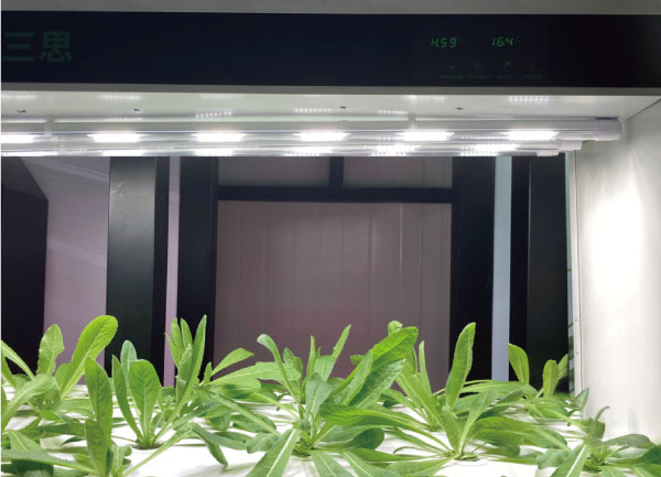 香蕉影视植物照明