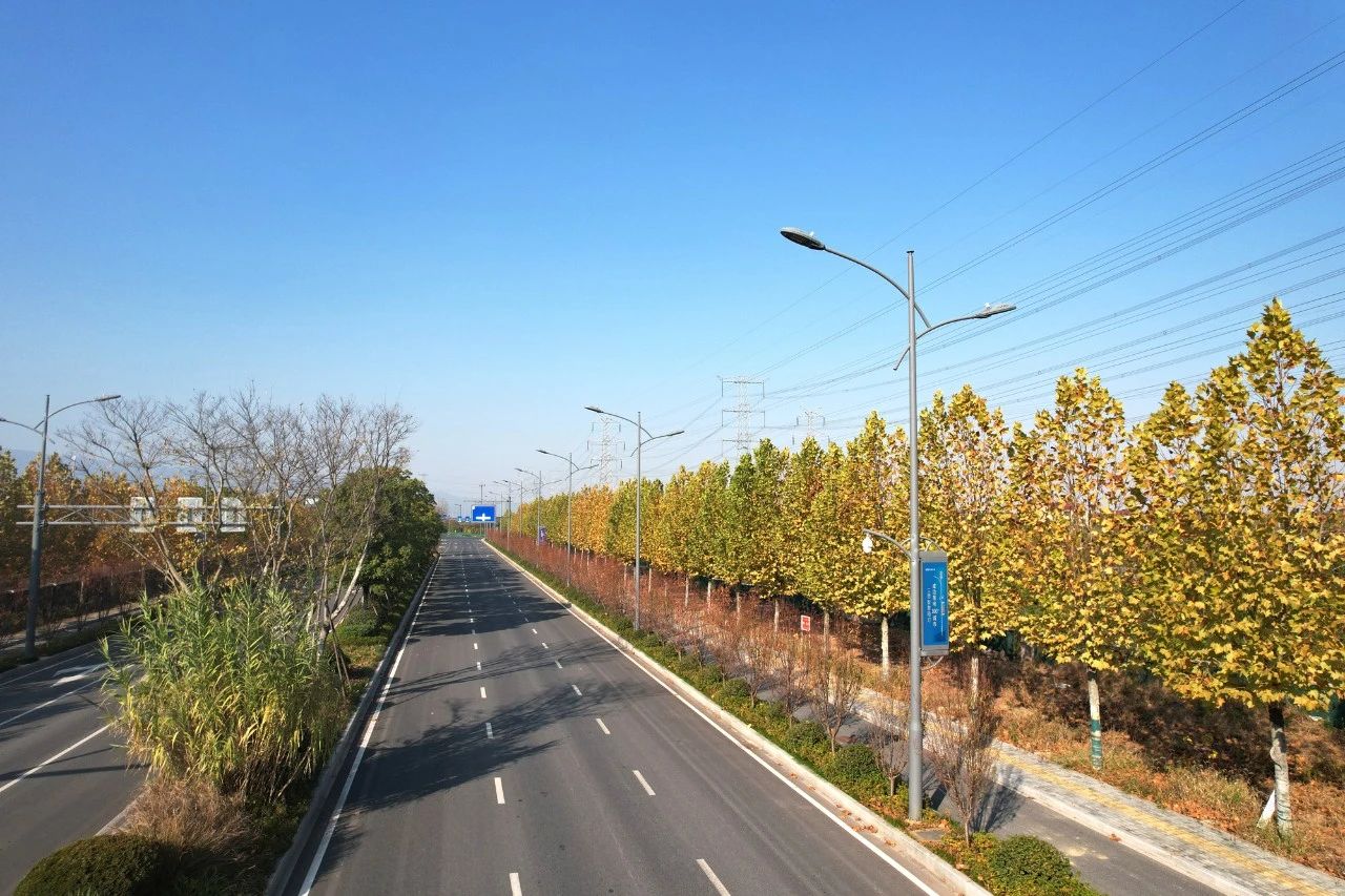 最高獎,香蕉影视,浙中公鐵聯運港,智慧路燈,工程,榮獲“市政工程最高質量水平評價”