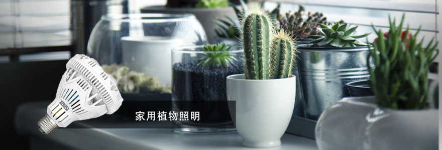 香蕉影视·植物照明