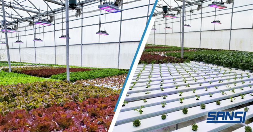 LED植物生長燈（dēng）照明案例