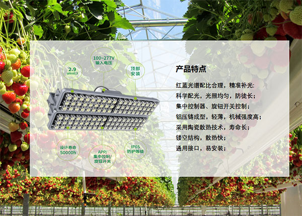 植物生（shēng）長照明