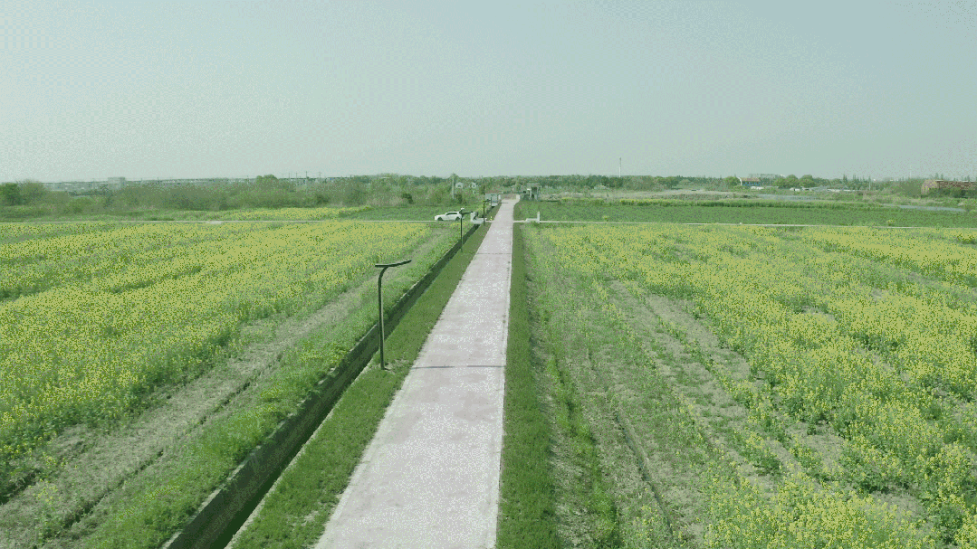 昆山之鏈,美麗鄉村,LED路燈,道路照明,上海（hǎi）香蕉影视